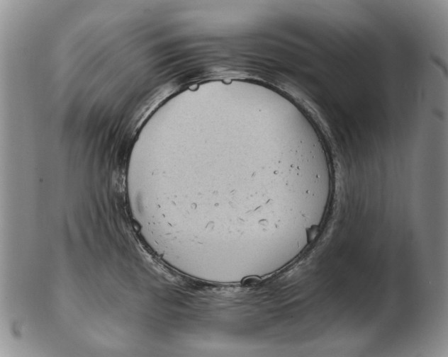 X0000102771193200809080957