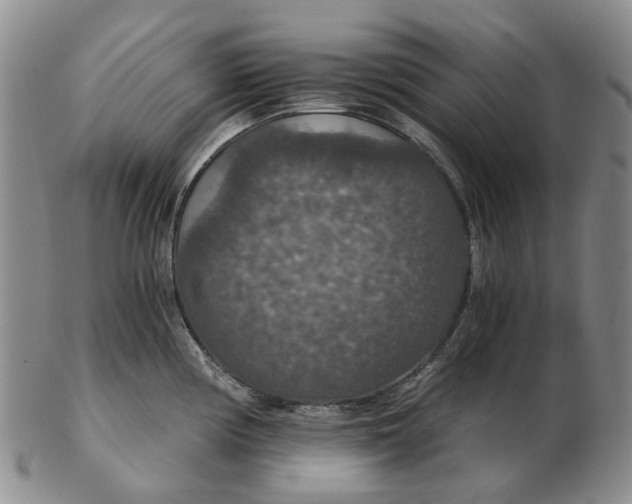 X0000102771194200809080957