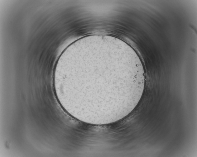 X0000102771195200809080957