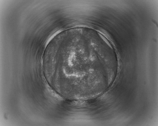 X0000102771198200809080957