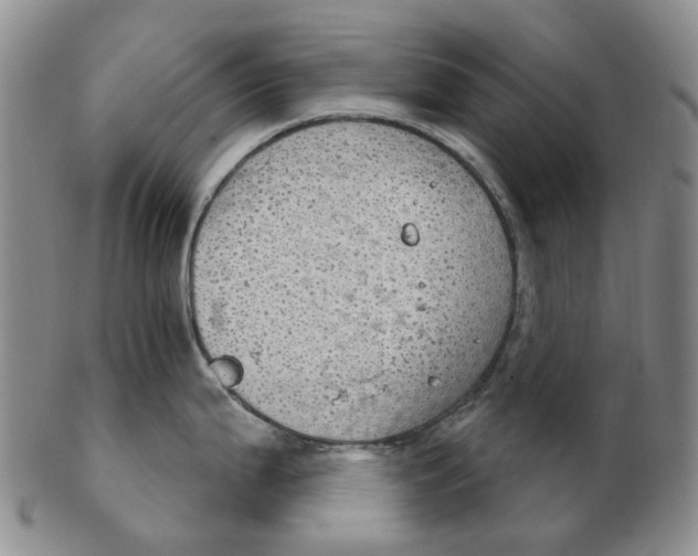 X0000102771199200809080957