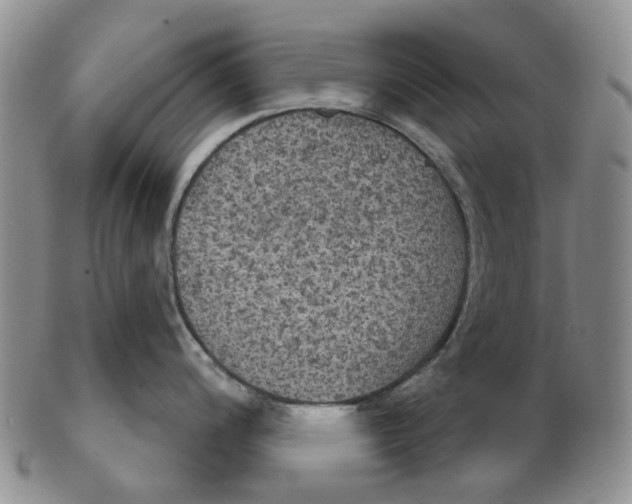 X0000102771200200809080957