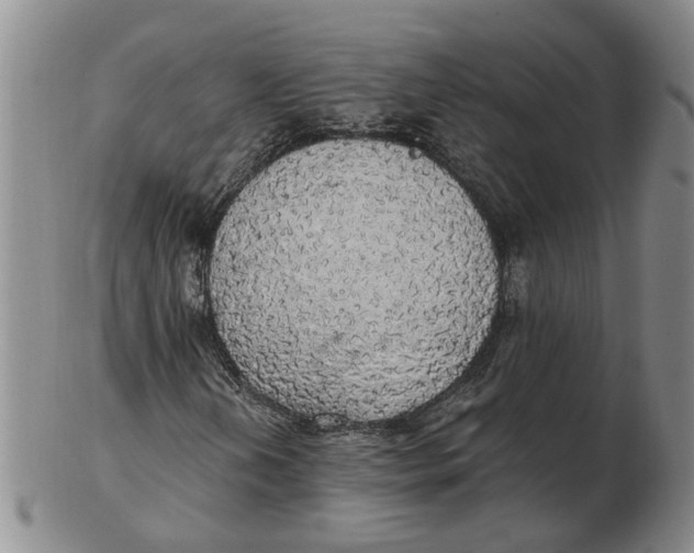 X0000102771202200809080956