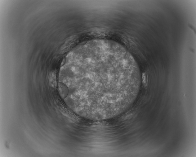 X0000102771203200809080956