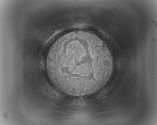 X0000102771206200809080956