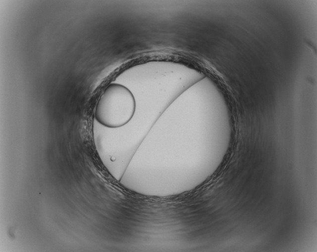 X0000102771208200809080957