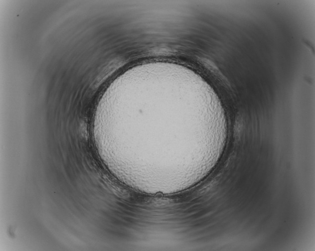 X0000102771209200809080957