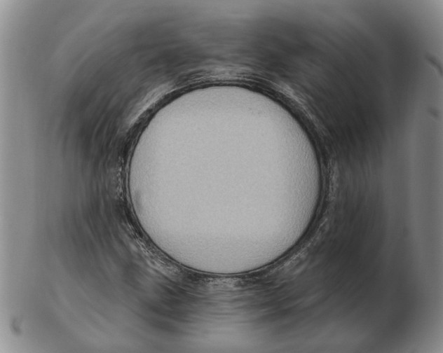 X0000102771211200809080957