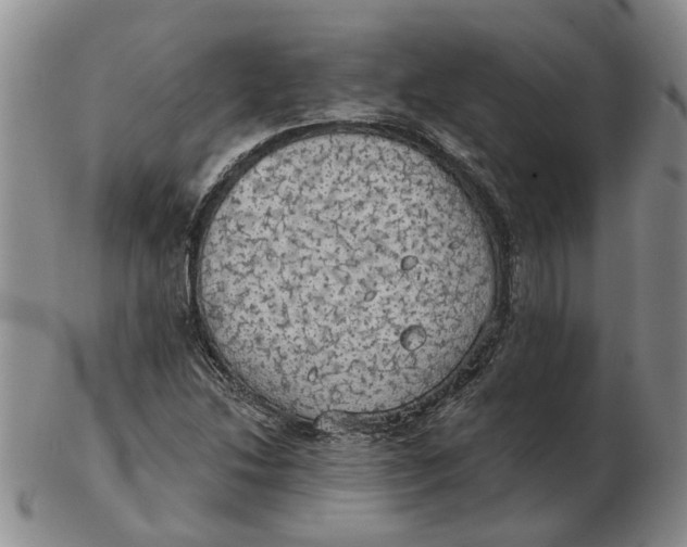 X0000102771214200809080957