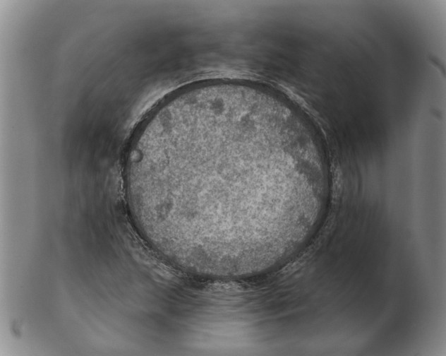 X0000102771215200809080957