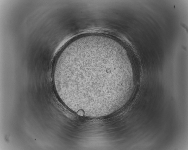 X0000102771216200809080957