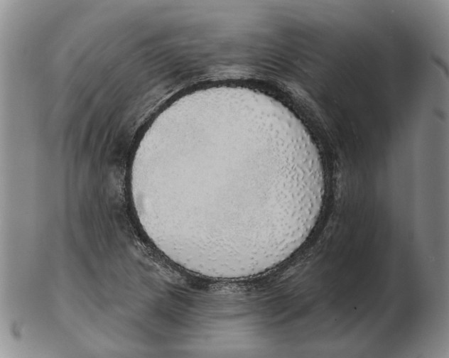 X0000102771217200809080957