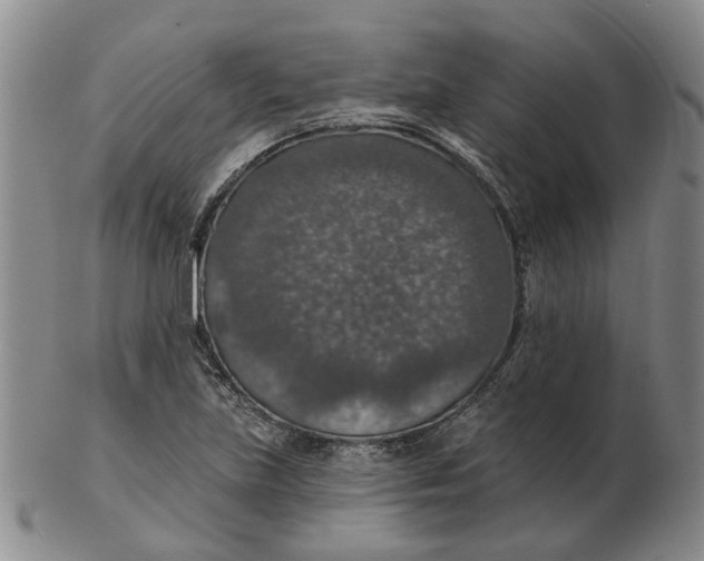 X0000102771219200809080957