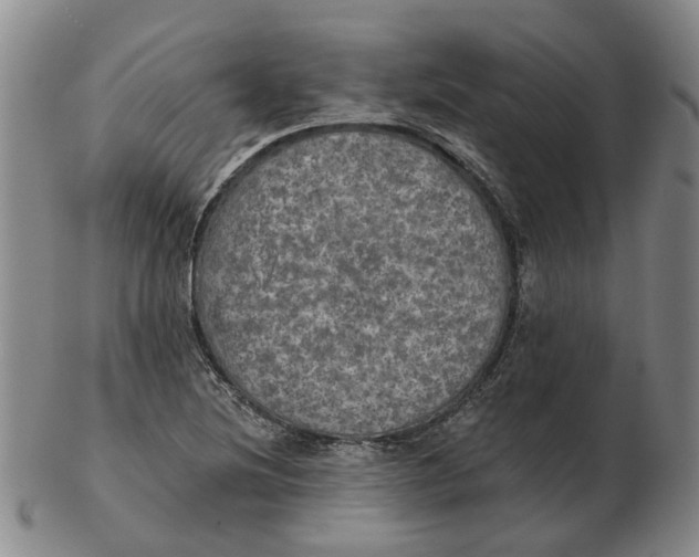 X0000102771220200809080957