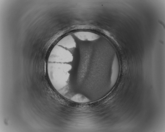 X0000102771221200809080957