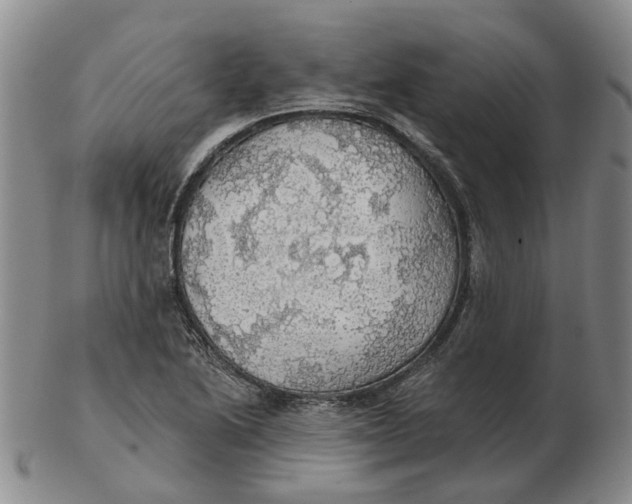 X0000102771222200809080957