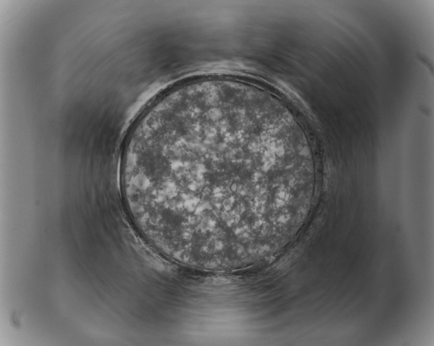 X0000102771224200809080957