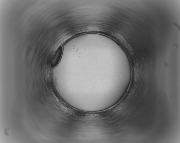 X0000102771225200809080957