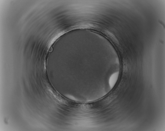 X0000102771226200809080957