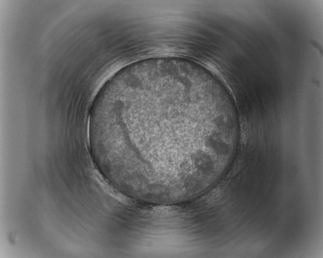 X0000102771227200809080957