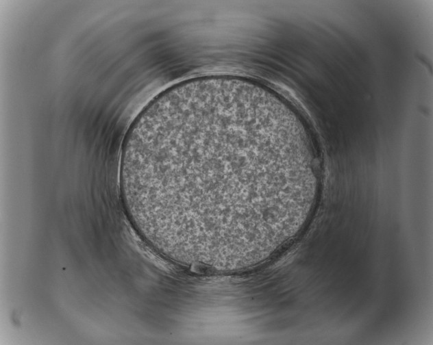 X0000102771228200809080957