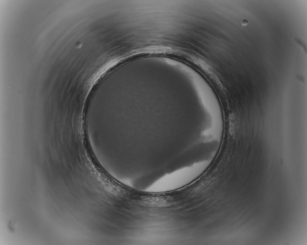 X0000102771229200809080957