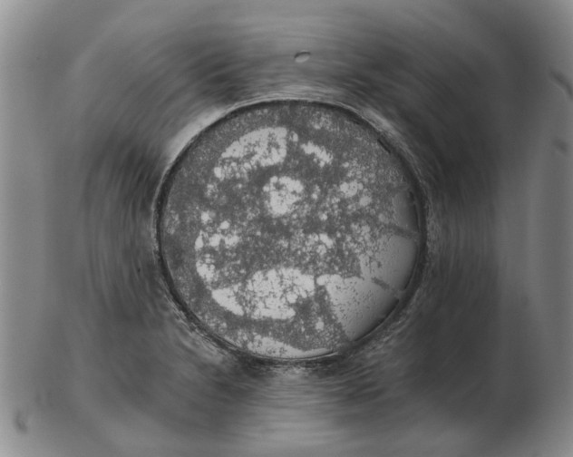 X0000102771230200809080957