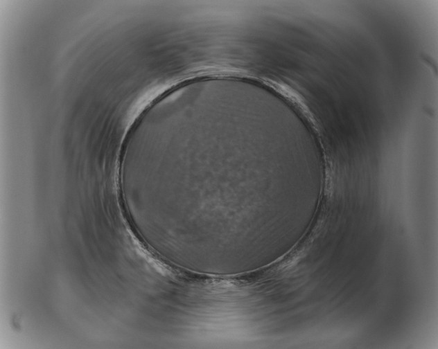 X0000102771231200809080957