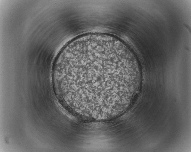 X0000102771232200809080957