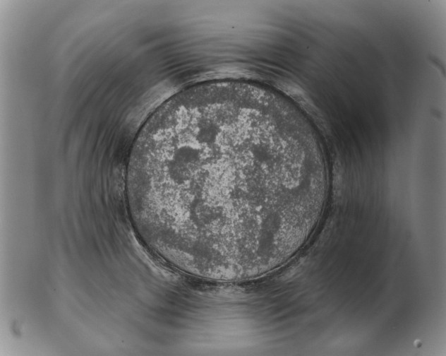 X0000102771233200809080957