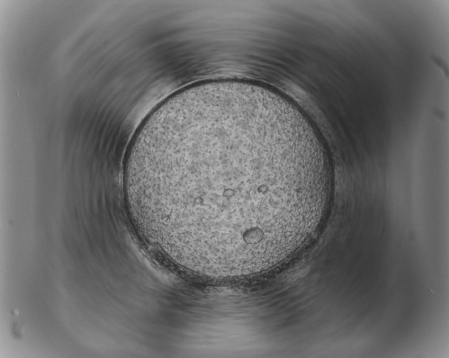 X0000102771234200809080957