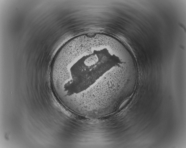 X0000102771235200809080957