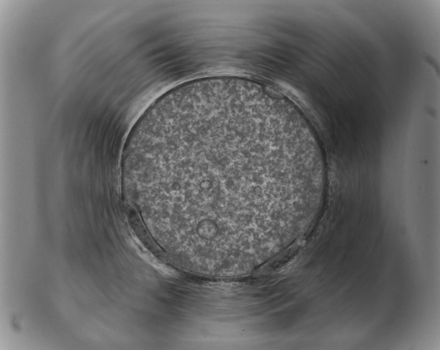 X0000102771236200809080957