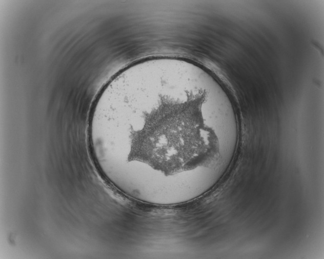 X0000102771237200809080957