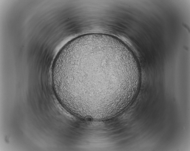 X0000102771238200809080957