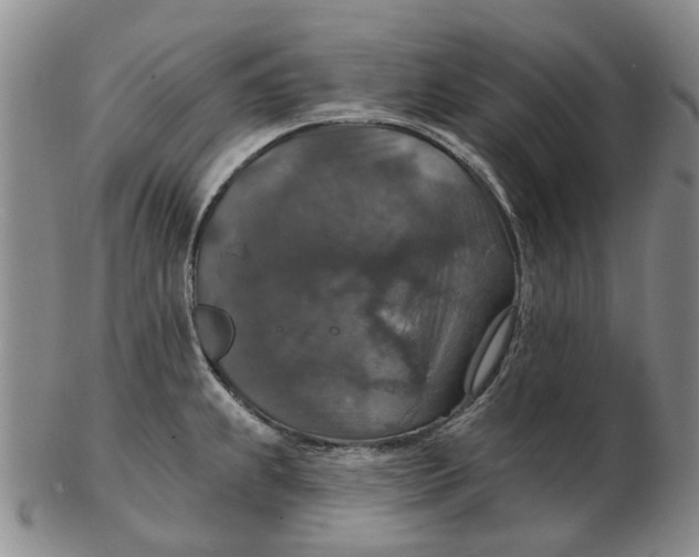 X0000102771239200809080957