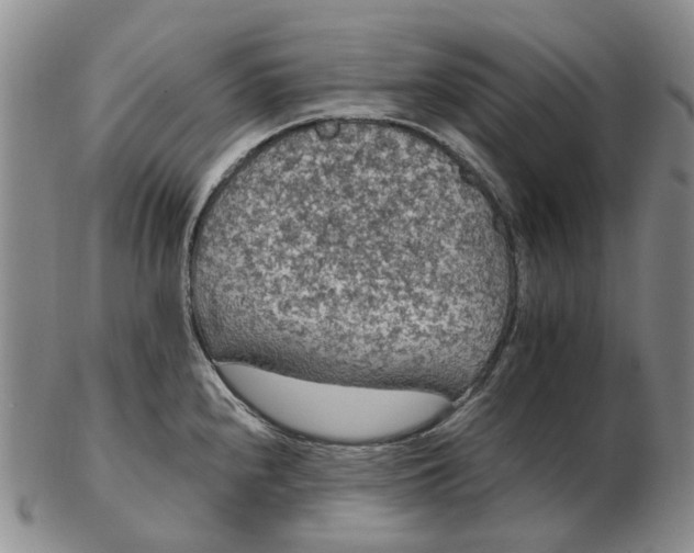 X0000102771240200809080957