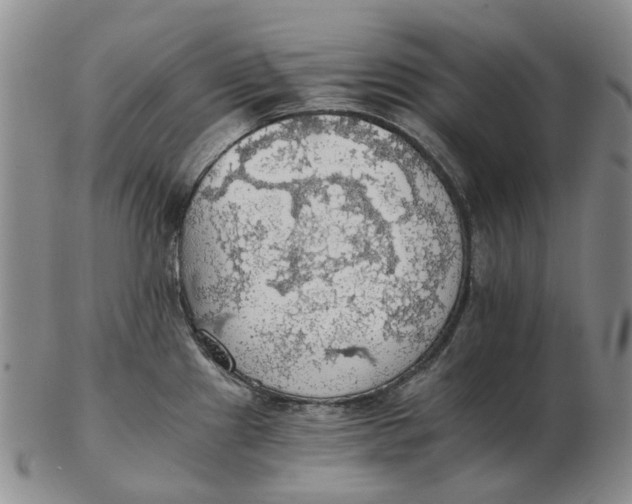 X0000102771241200809080957