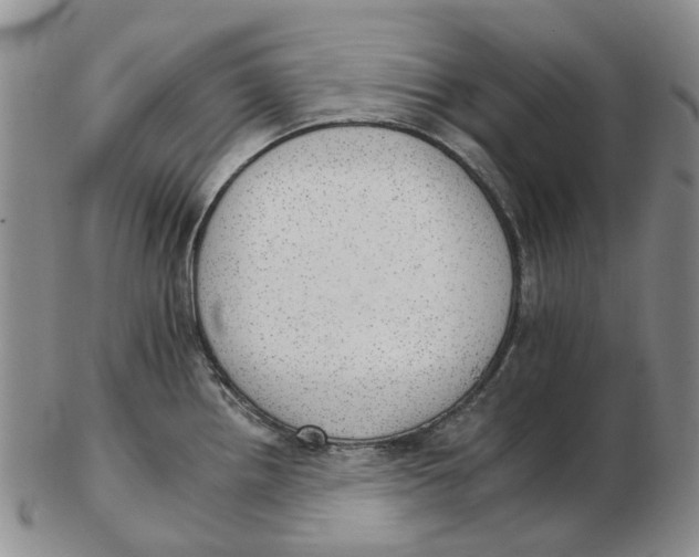 X0000102771242200809080957