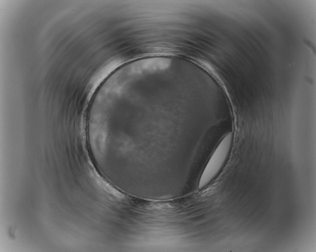 X0000102771243200809080957