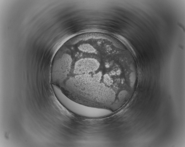 X0000102771244200809080957