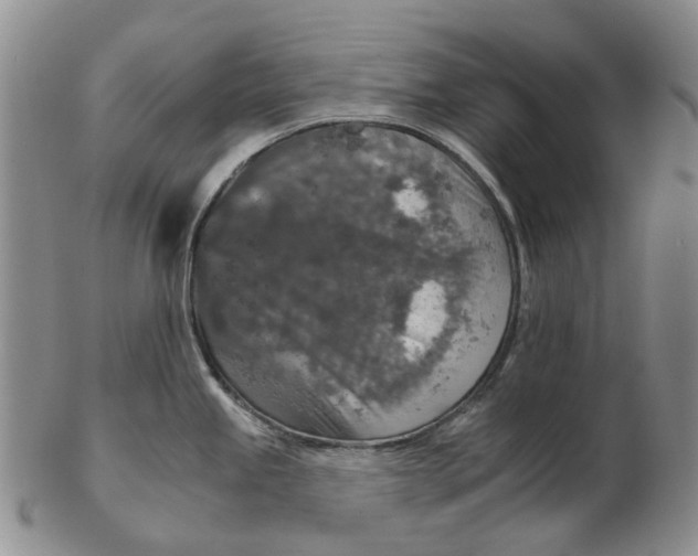 X0000102771245200809080957