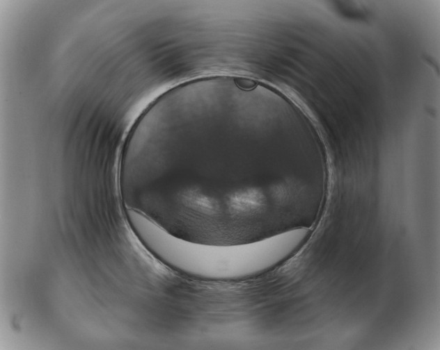 X0000102771246200809080957