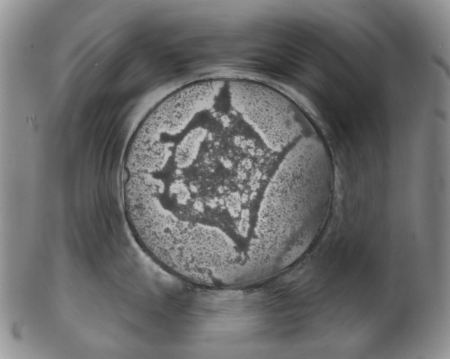 X0000102771247200809080957