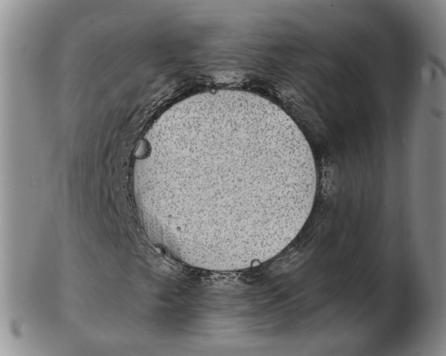 X0000102771249200809080956