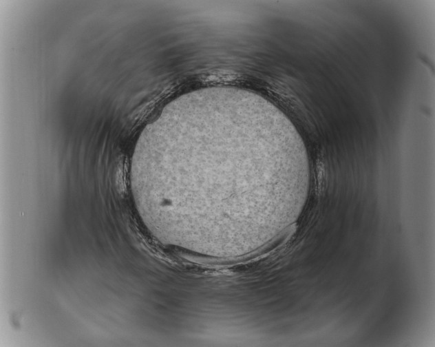 X0000102771250200809080956