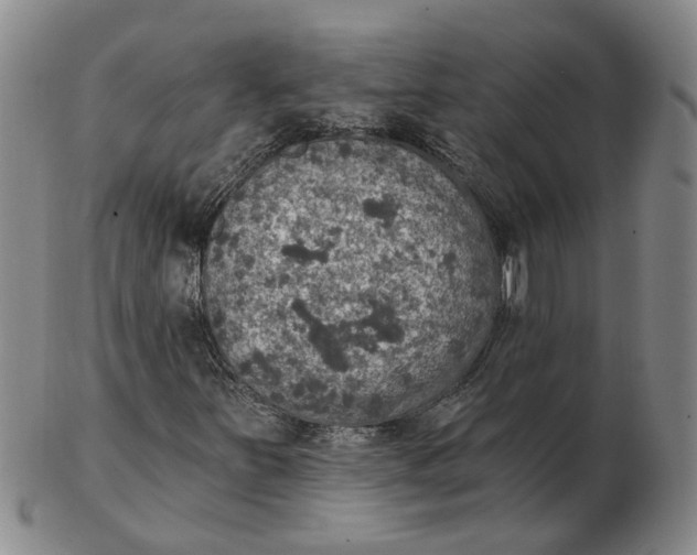 X0000102771251200809080956