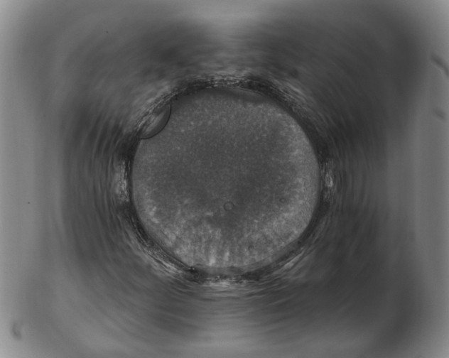 X0000102771252200809080956