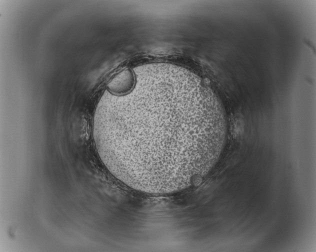 X0000102771253200809080956