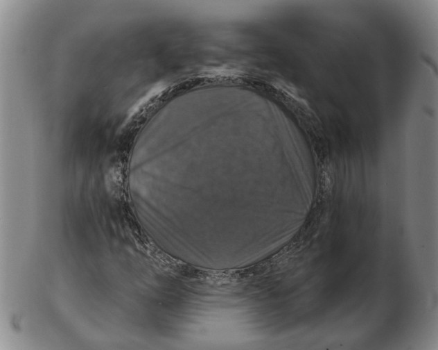 X0000102771254200809080956